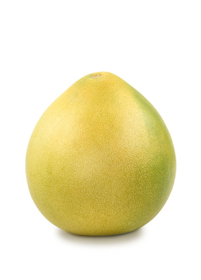 פמלה